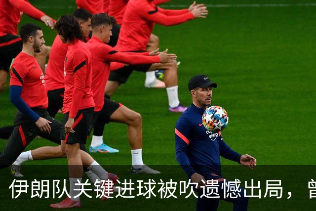 伊朗队关键进球被吹遗憾出局，曾任教哈佛大学的伊朗学者向FIFA索赔10亿美元