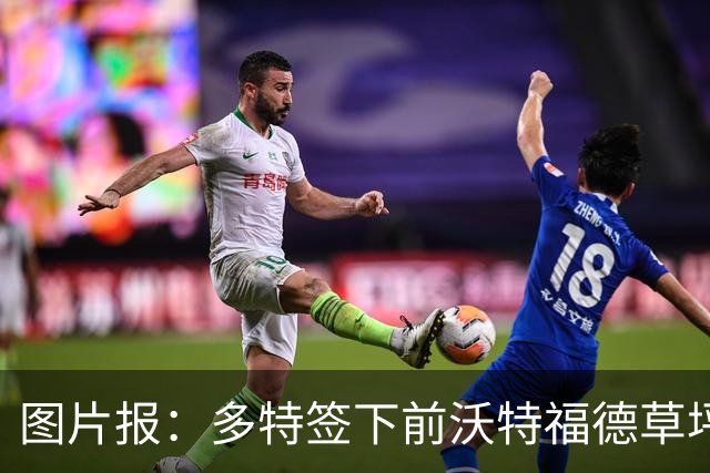 图片报：多特签下前沃特福德草坪主管，出任俱乐部场地管理负责人