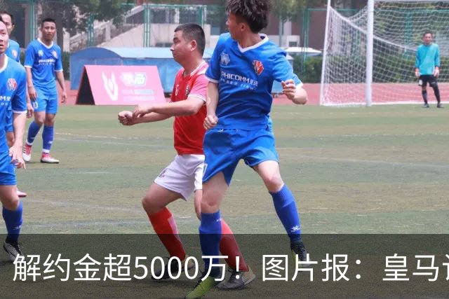 解约金超5000万！图片报：皇马计划报价施洛特贝克，球员向往皇马